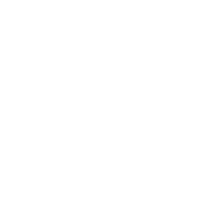 logo-light